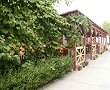 Gradina